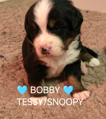 collier bleu ciel BOBBY
